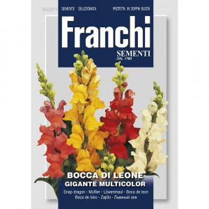 Seminte de Gura Leului gigant multicolor, 2g, Franchi