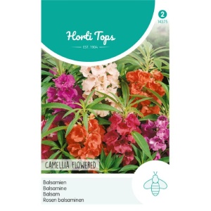 Seminte de Impatiens balsamina mix, 1.5g, Horti Tops, Olanda