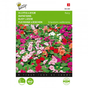 Seminte de Impatiens, Busy Lizzie Baby mix, 0,1g, Buzzy, Olanda