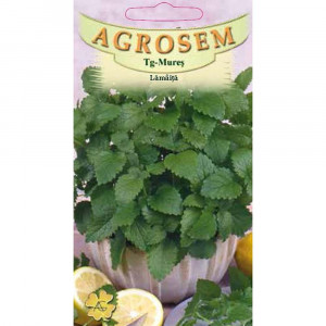 Seminte de Lamaita - Roinita, planta aromatica si medicinala, Agrosem, 0,4 gr
