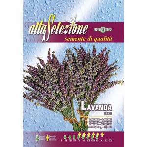 Seminte de lavanda, 0.75g, Franchi