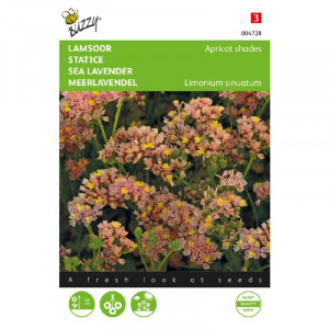 Seminte de Limonium/statice Apricot Shades, 0,25g, Buzzy, Olanda