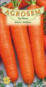 Seminte de morcov Berlicum 5 grame