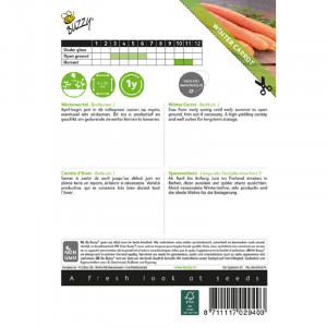 Seminte de morcov de iarna Berlicum 2, 6g, Buzzy, Olanda