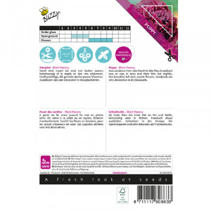 Seminte de mac Black Peony