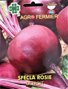 Seminte de sfecla rosie Detroit