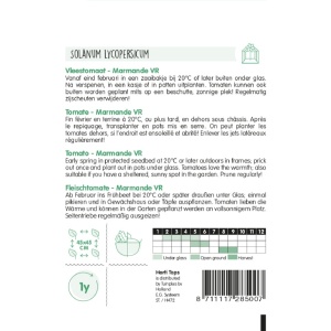 Seminte de tomate Inima de bou Marmande, 2 g, Horti Tops, Olanda - Img 2