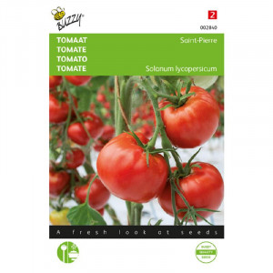 Seminte de tomate Saint Pierre, 1,5 g, Buzzy, Olanda