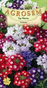 Seminte de Verbena - mixtura, Agrosem