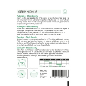 Seminte de vinete Black Beauty, 1g, Horti Tops, Olanda - Img 2