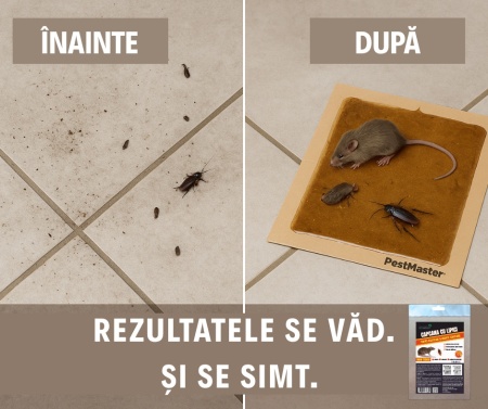 Capcana cu lipici sobolani si insecte taratoare PESTMASTER - Img 5