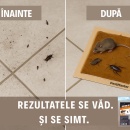 Capcana cu lipici sobolani si insecte taratoare PESTMASTER - Img 5