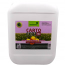 Carto-Fert 10L - Fertilizant pentru cartof