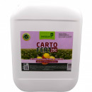 Carto-Fert 10L - Fertilizant pentru cartof - Img 2