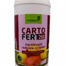 Carto-Fert 1L - Fertilizant pentru cartof