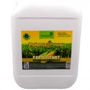 Polenta Power 10 L - Fertilizant pentru porumb