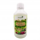 Fertilizer Universal, Fertilizant Mineral Crestere Intensiva, 1l