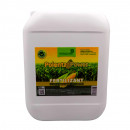 Polenta Power 10 L - Fertilizant pentru porumb - Img 2
