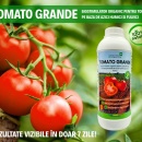 Tomato Grande - Fertilizant organic pentru tomate 1L