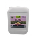 Carto-Fert Fertilizant pentru cartof - 10L