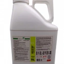 INSEKTUM FORTE 5L - Insecticid concentrat anti-insecte - Img 4
