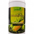 Polenta Power 1L - Fertilizant pentru porumb