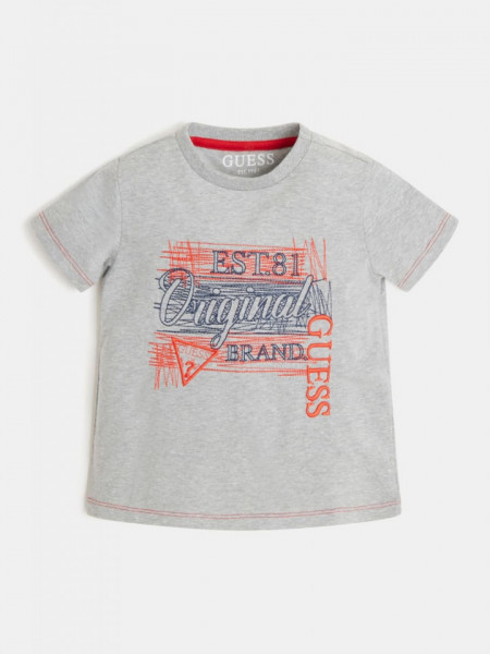 Tricou de băiat,gri de la 3 luni la 7 ani Guess