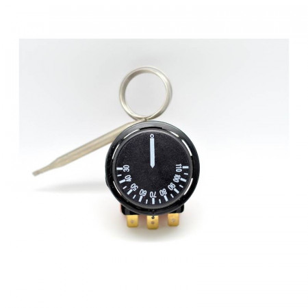 Termostat 30°-110°C 250V 16A cu sonda de inox