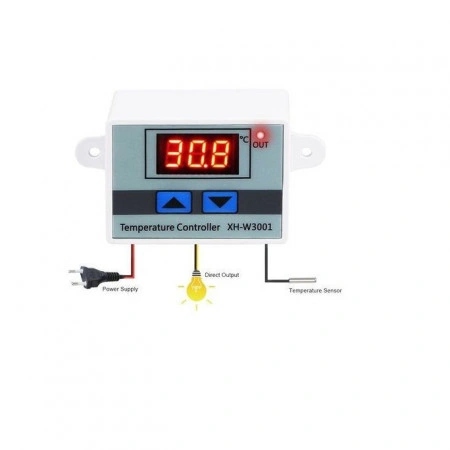 TERMOSTAT electronic W3001