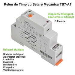 Releu de Timp 0,1s-60 min pe Sina Din TBT5-1