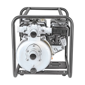 Motopompa de presiune, apa curata GWP 50/212 H2 Pro - Img 2