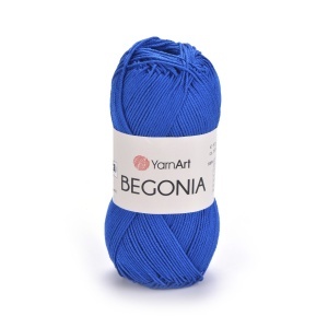 Begonia 4915