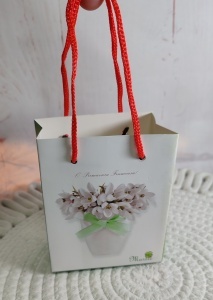 Pungi cadou martisor - model ghiocei