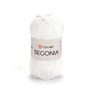 Begonia 003