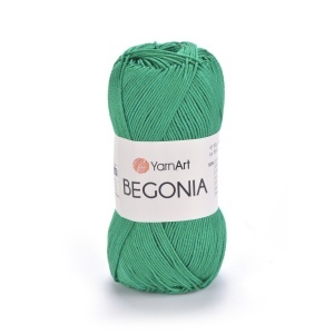 Begonia 6334