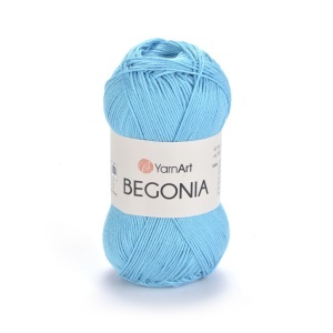 Begonia 08