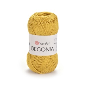 Begonia 4940