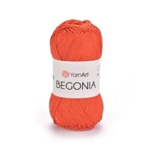 Begonia 5535