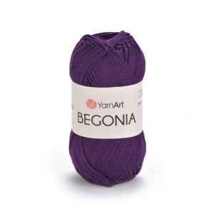 Begonia 5550