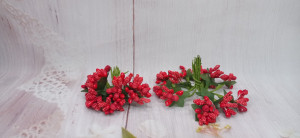 Bughet pistile flori - rosu