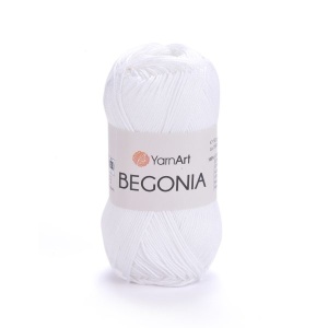 Begonia 1000