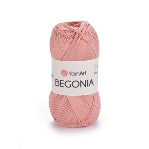 Begonia 4105
