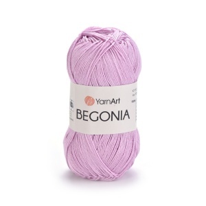 Begonia 5049