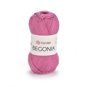 Begonia 0075