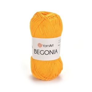 Begonia 5307