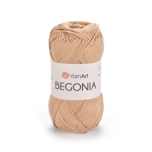 Begonia 5529