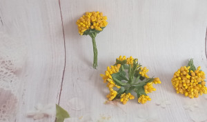 Bughet pistile flori - galben