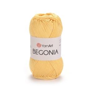 Begonia 4653