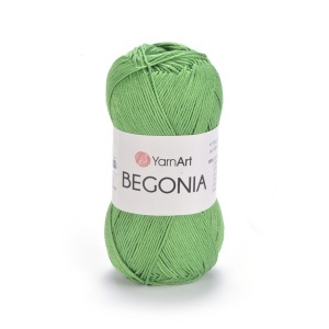 Begonia 6332