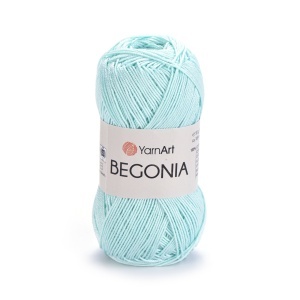 Begonia 4939
